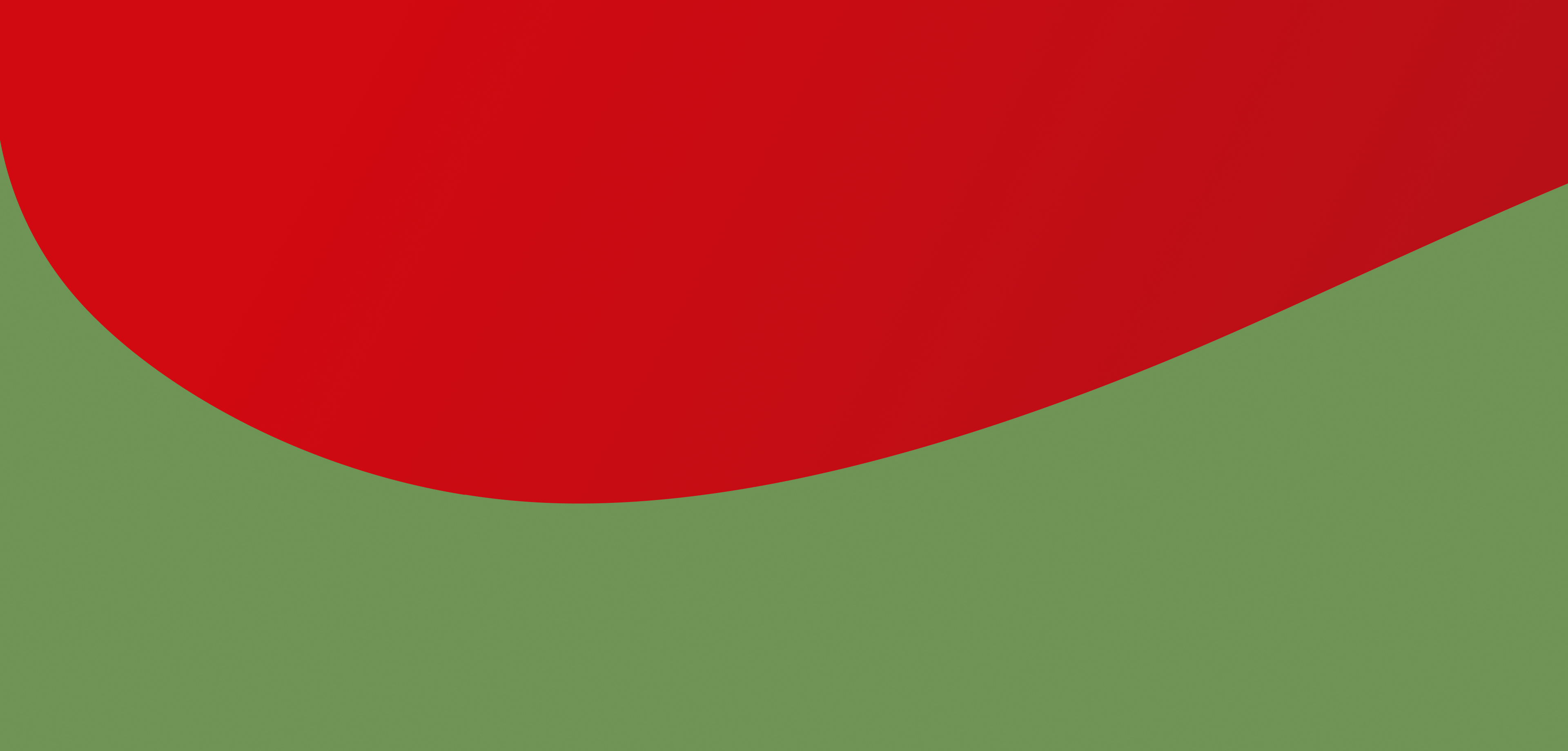 Colaborador Oba Festival 2026